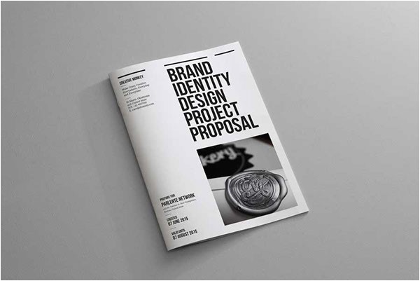 Brand Identity Proposal Template Brand Identity Proposal On Behance