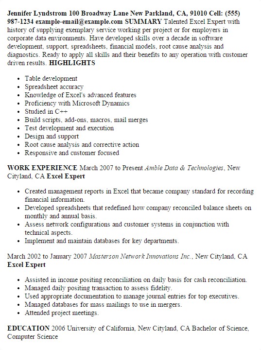 Excel Resume Template Professional Excel Expert Templates to Showcase Your