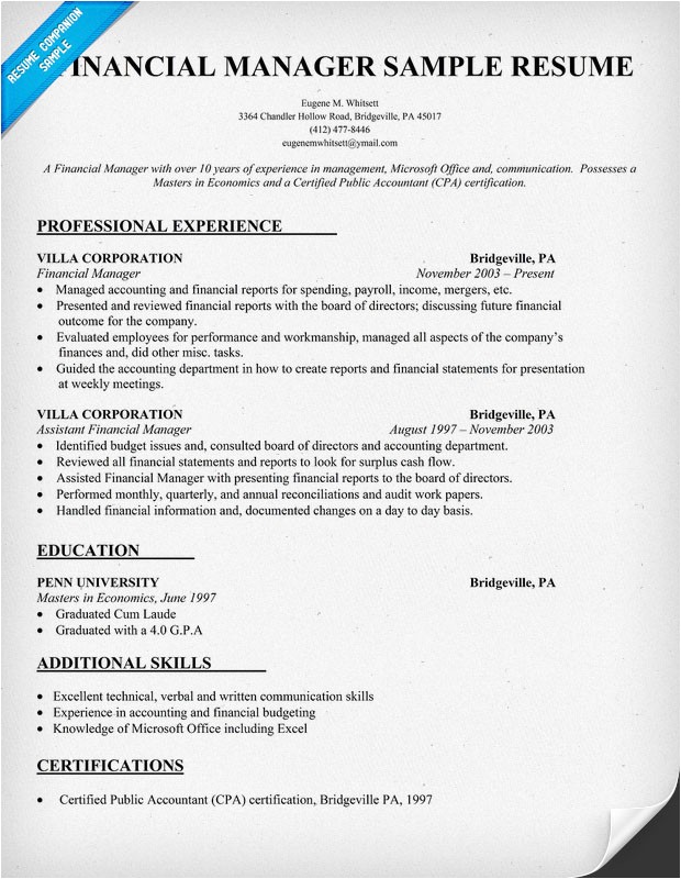 Finance Manager Resume Template Finance Manager Resume Examples Resume Template