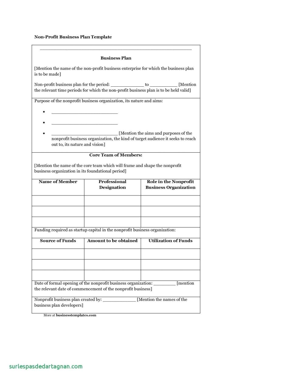free 501c3 business plan template