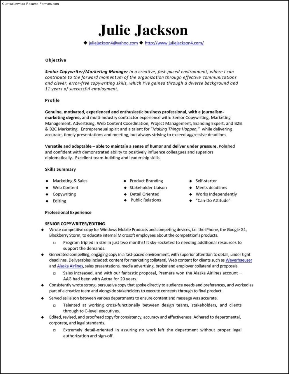 Monster Jobs Resume Template Monster Resume Template Free Samples Examples format