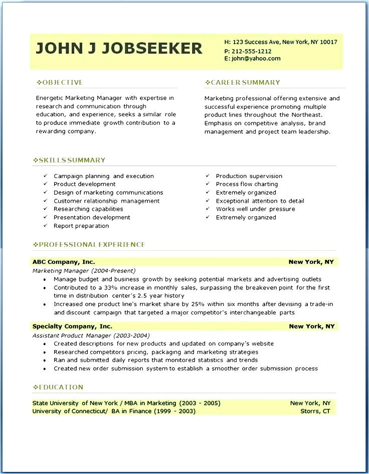 Professional Resume Template Examples Gallery Of Resume Curriculum Vitae Template