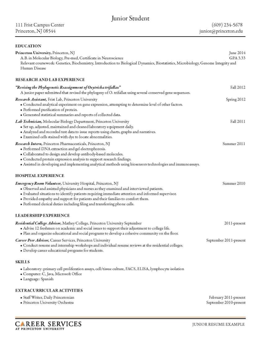 Sample Pics Of Resumes Sample Of Resumes for Jobs 2018 2019 Studychacha