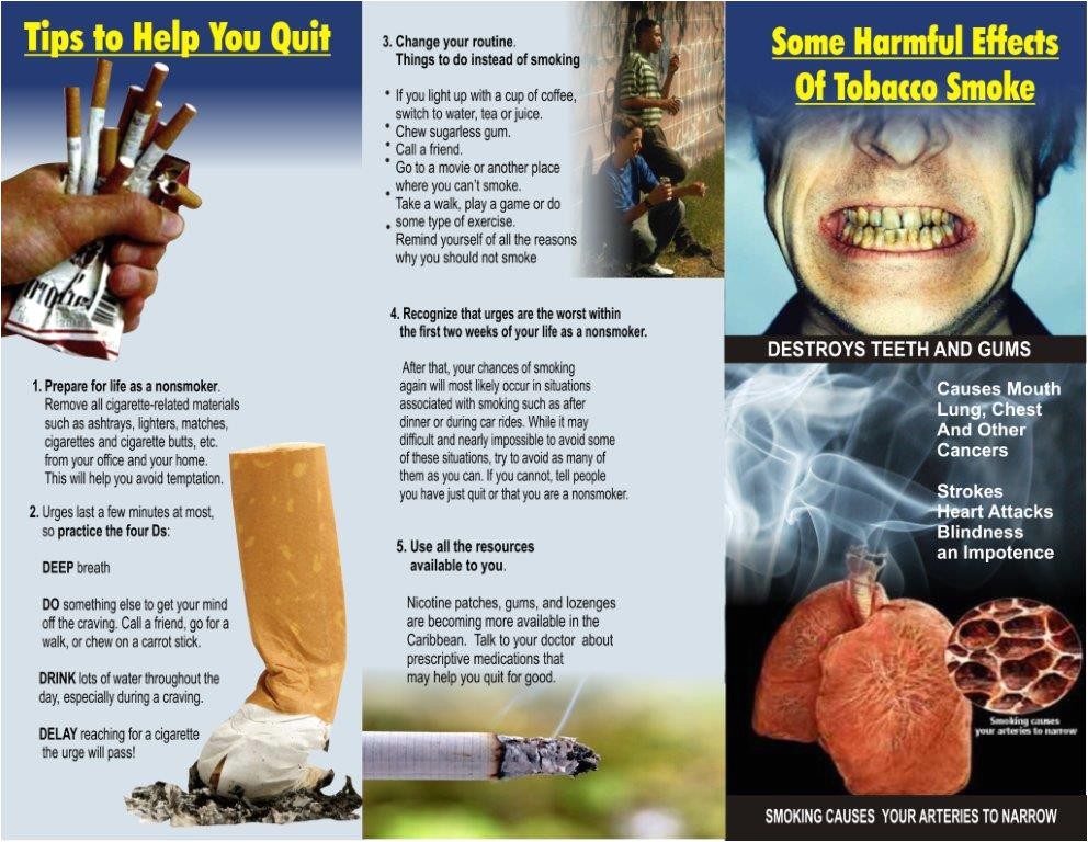 Smoking Brochure Template Smoking Cessation Brochures Tubezzz Porn Photos