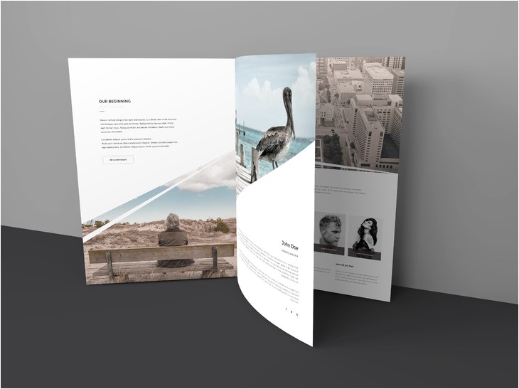 Three Page Brochure Template 15 Free Tri Fold Brochure Examples 2016 for Download