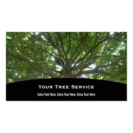 Tree Service Business Cards Templates 800 Tree Service Business Cards and Tree Service Business