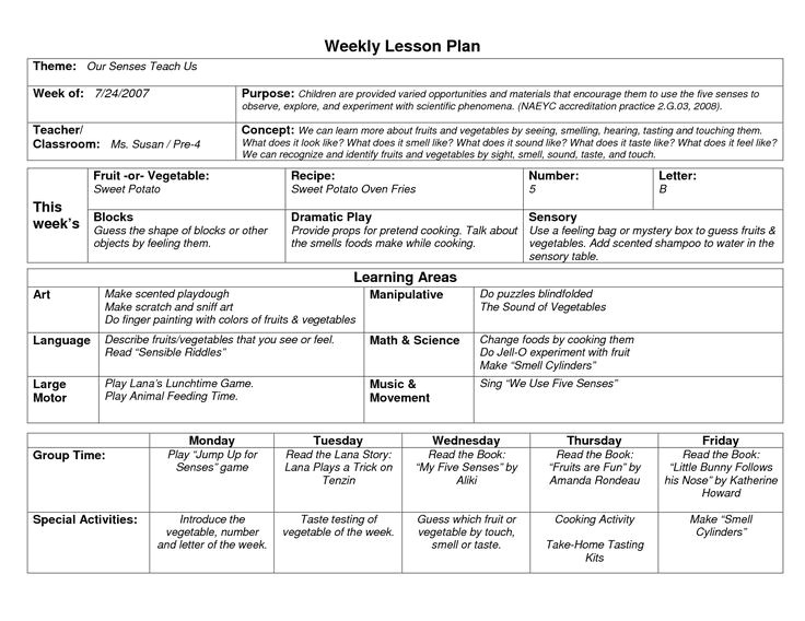 Bright From the Start Lesson Plan Template Bright From the Start Lesson Plan Template Free Template