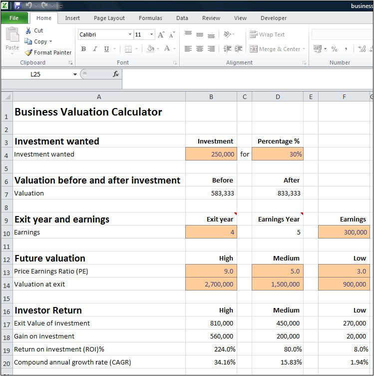 Company Valuation Template Excel Business Valuation Calculator for A Startup Plan Projections