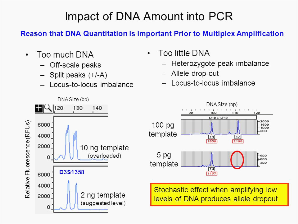  How Much Template Dna For Pcr Williamson ga us