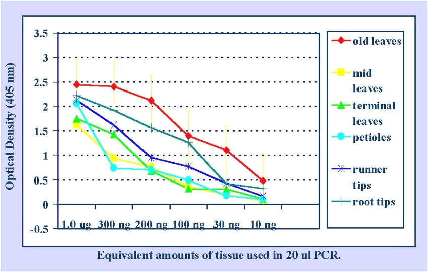 How Much Template Dna For Pcr Williamson ga us