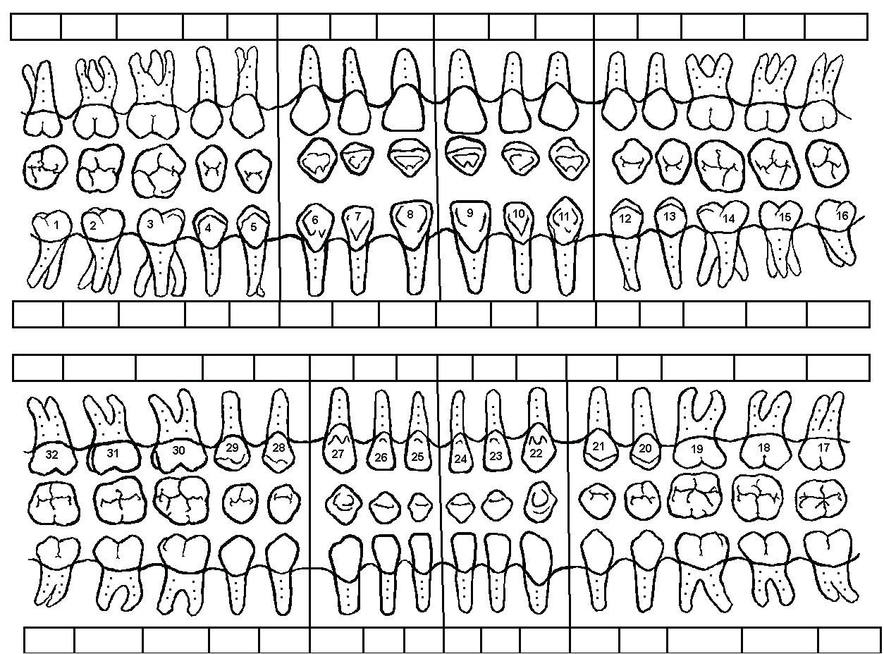 Periodontal Chart Template Williamson ga us