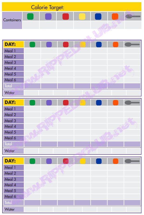 Portion Control Template Fix 21 Day Meal Plan Template 21 Day Fix Nutrition Plan