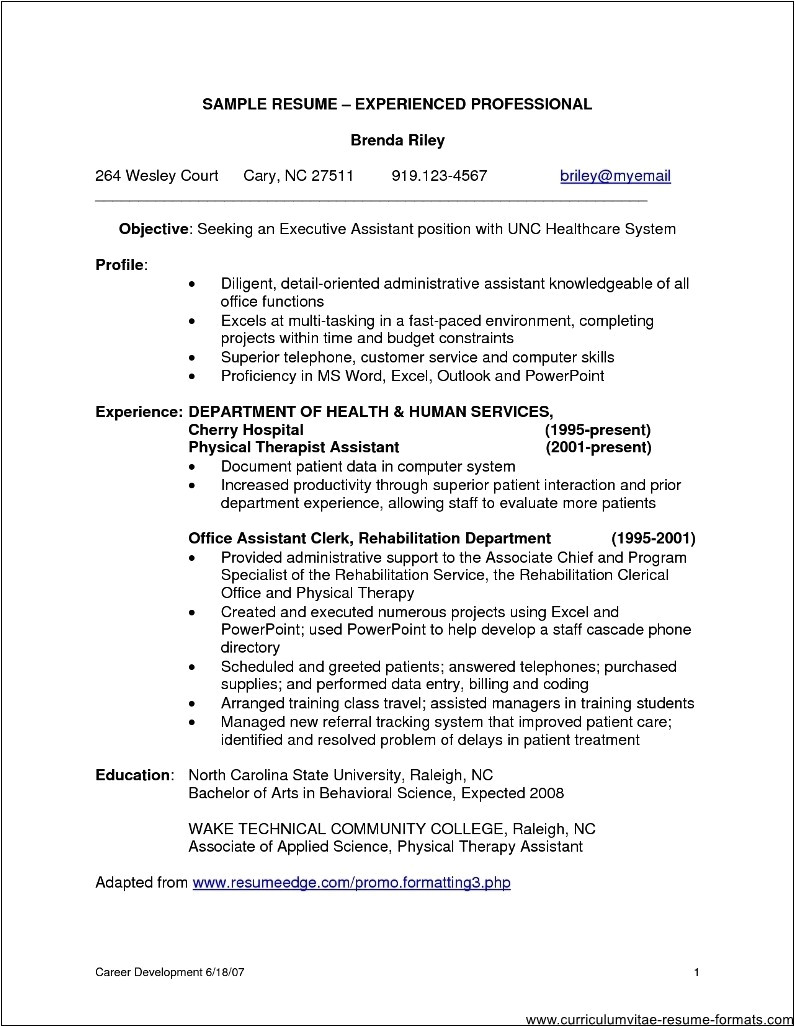 Sample Resumes for Experienced It Professionals Sample Resume format for Experienced It Professionals