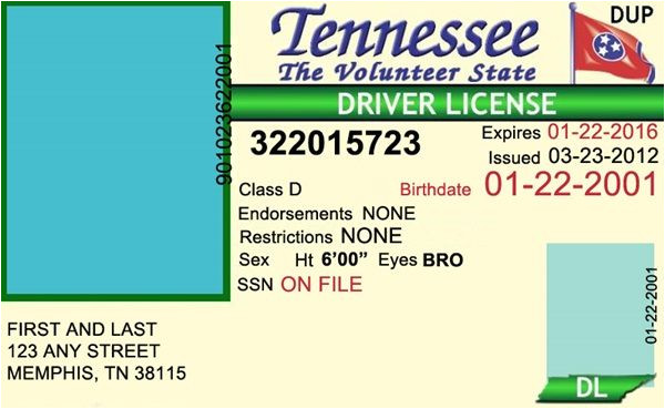 tennessee id template