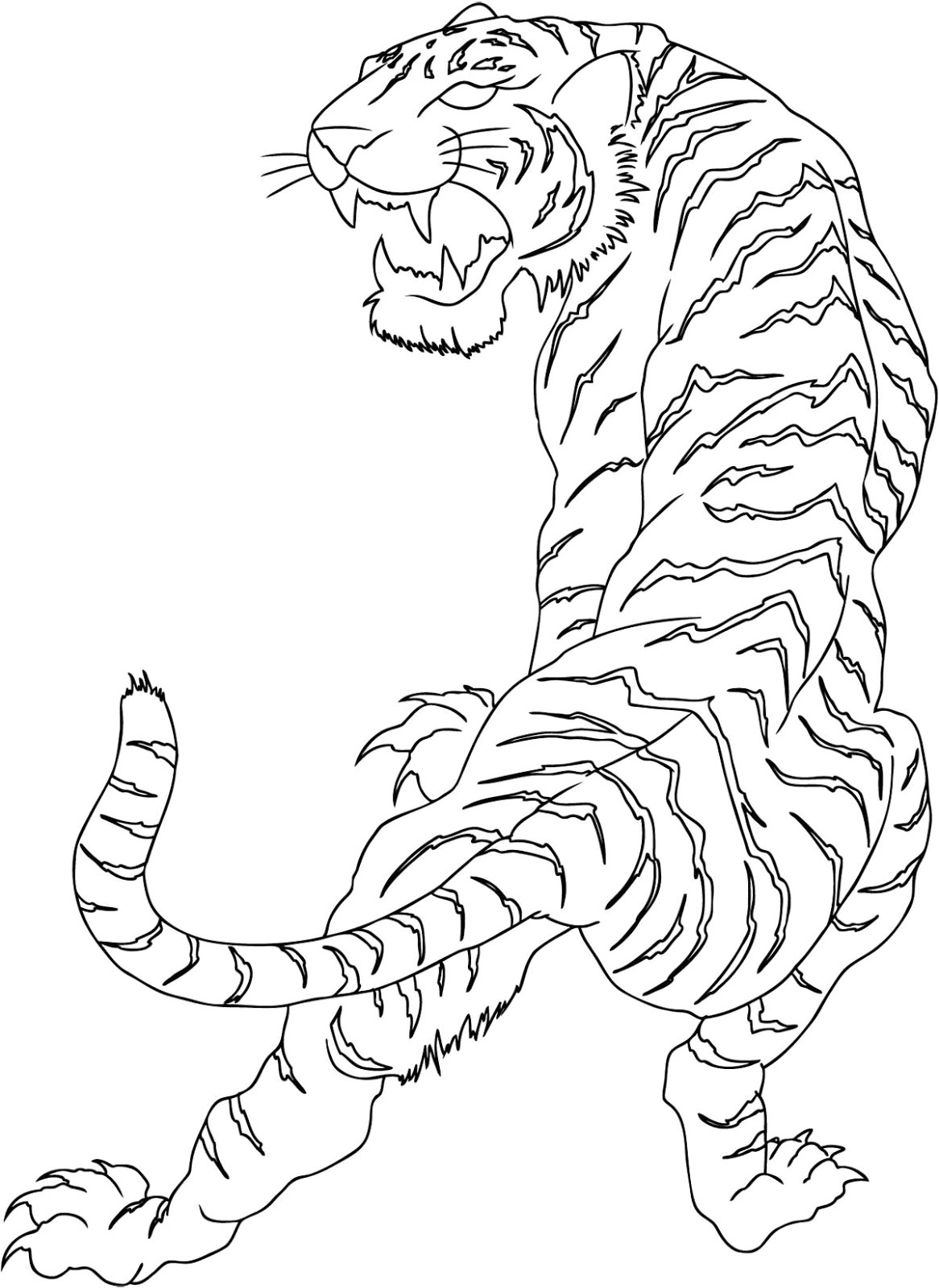 Tiger Tattoo Template Wild White Tiger Tattoo Tattoo Designs Ideas Gallery