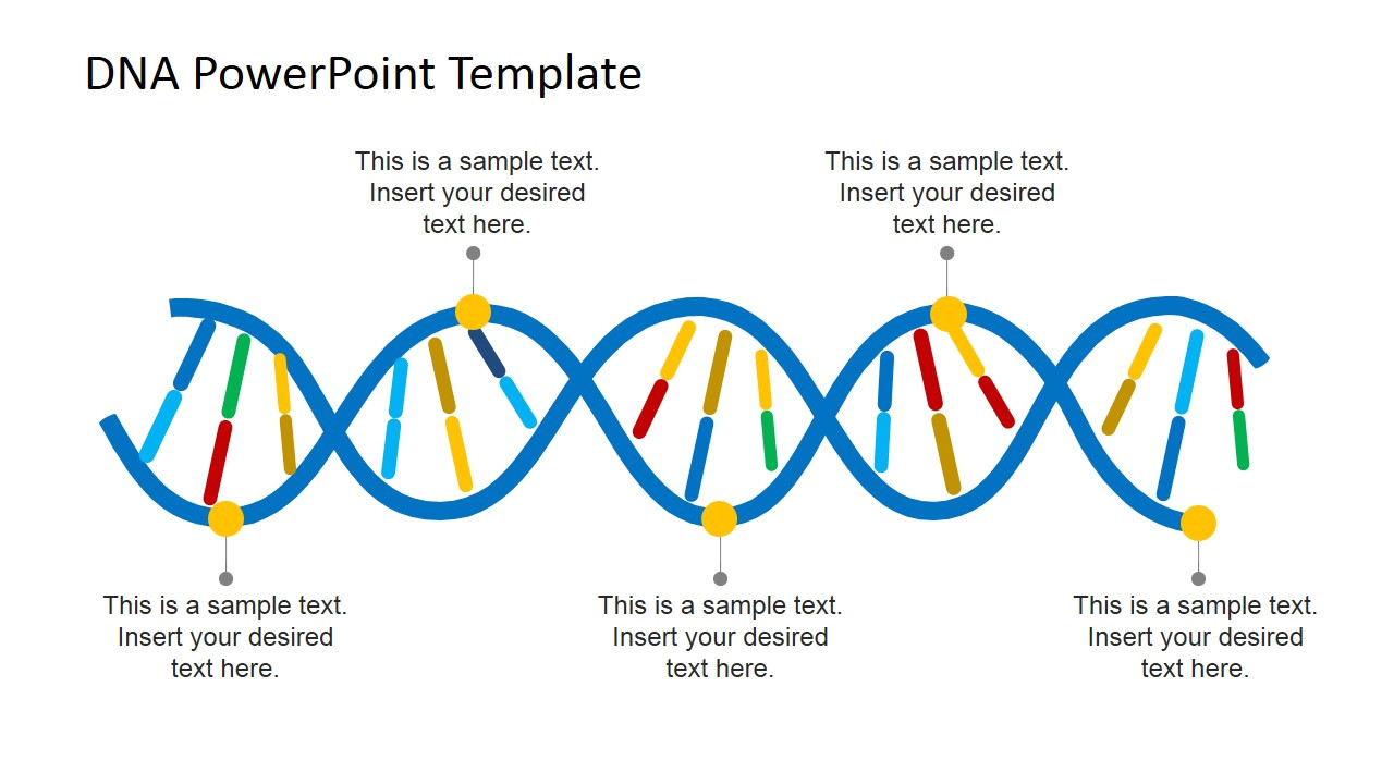 What is A Template In Dna Dna Strands Powerpoint Template Slidemodel