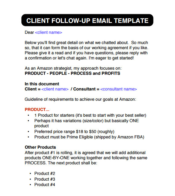 Customer Follow Up Email Template Sample Follow Up Email 5 Examples format