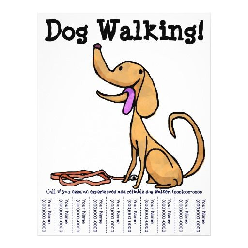 Dog Walker Flyer Template Free Dog Walking Flyers Google Search Dog Walking