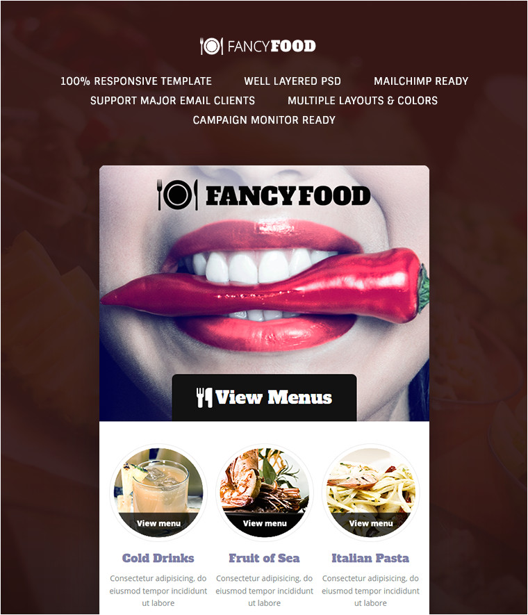 Fancy Email Templates Fancyfood Email Template Buy Premium Fancyfood Email Template