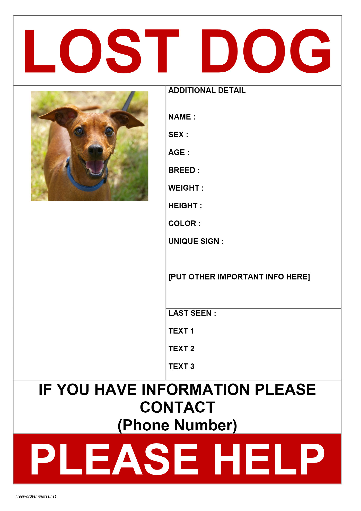 Lost Dog Flyer Template Word Missing Dog Poster
