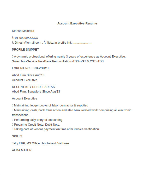 Account Executive Resume format Word 25 Free Executive Resume Templates Pdf Doc Free