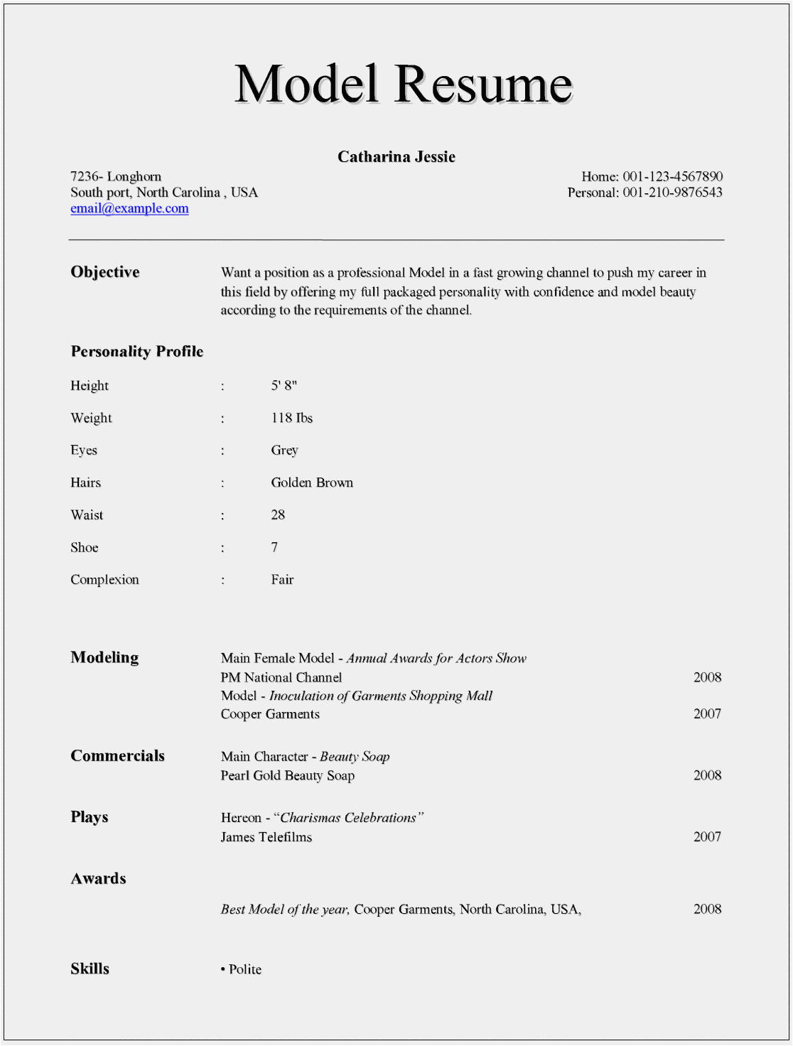 Basic Resume Model Model Resume Templates for Ms Word Free Example format