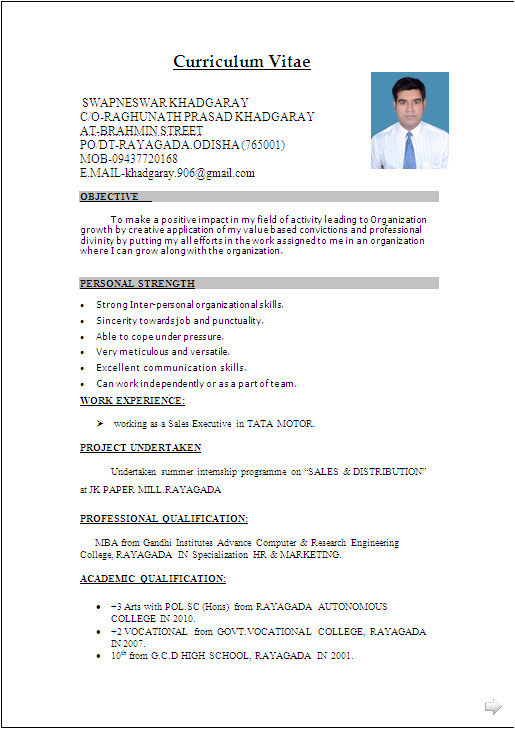 Best Resume format In Word File Resume Sample In Word Document Mba Marketing Sales