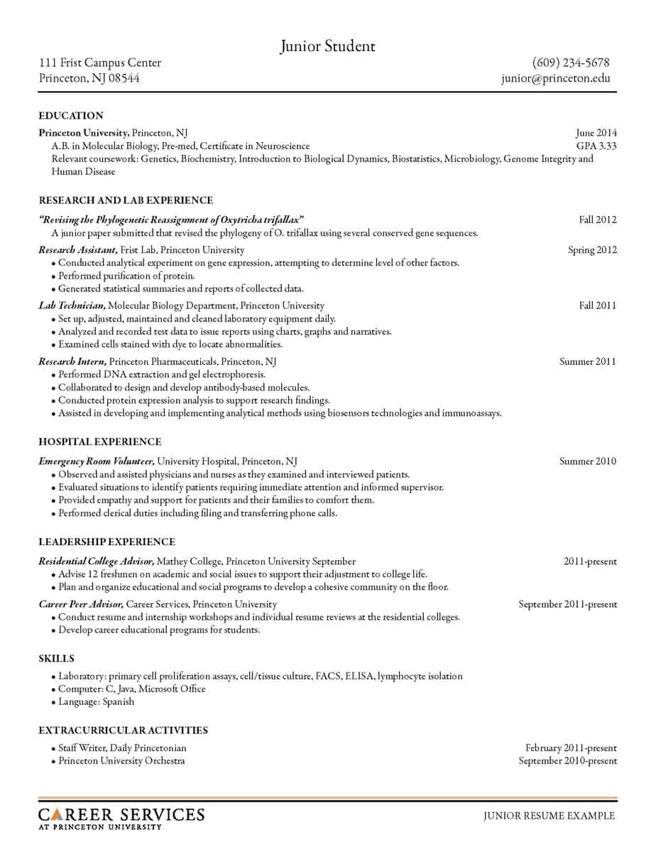 Blank Space On Resume 16 Free Resume Templates Excel Pdf formats