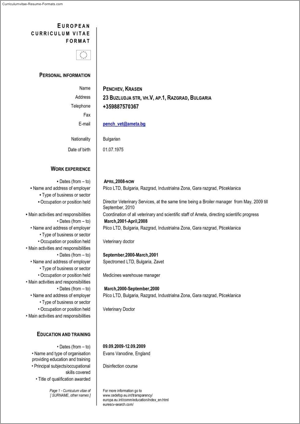 Curriculum Vitae Format European Word European Resume Template Free Curriculum Vitae Format European Word European Resume Template Free
