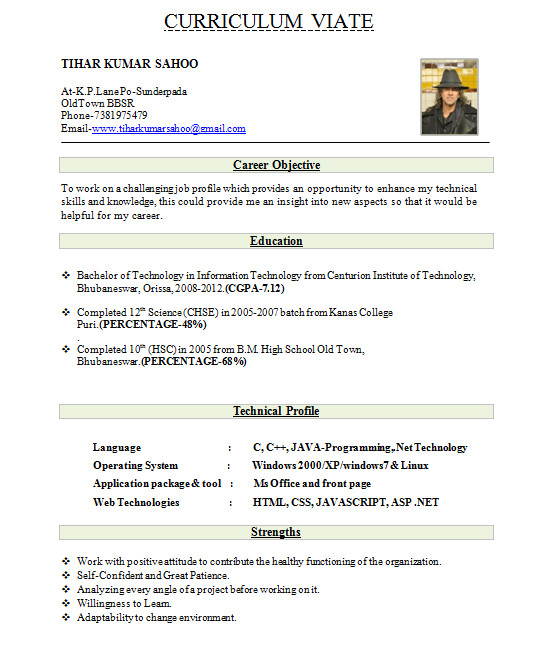 fresher resume format download in ms word