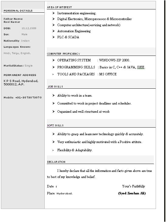New Resume format In Word Beautiful Resume format In Word Free Download