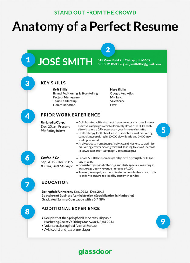 Perfect Resume for Job Interview How to Write A Great Professional Resume that Will Get You