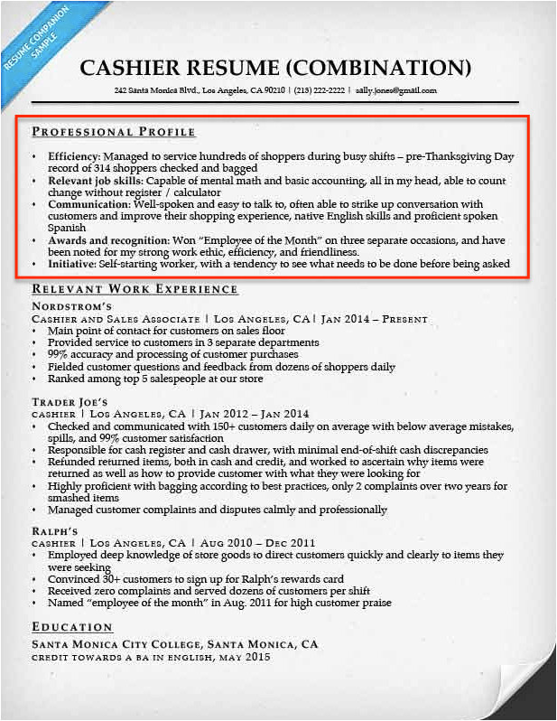 Professional Profile Resume Resume Profile Examples Writing Guide Resume Companion