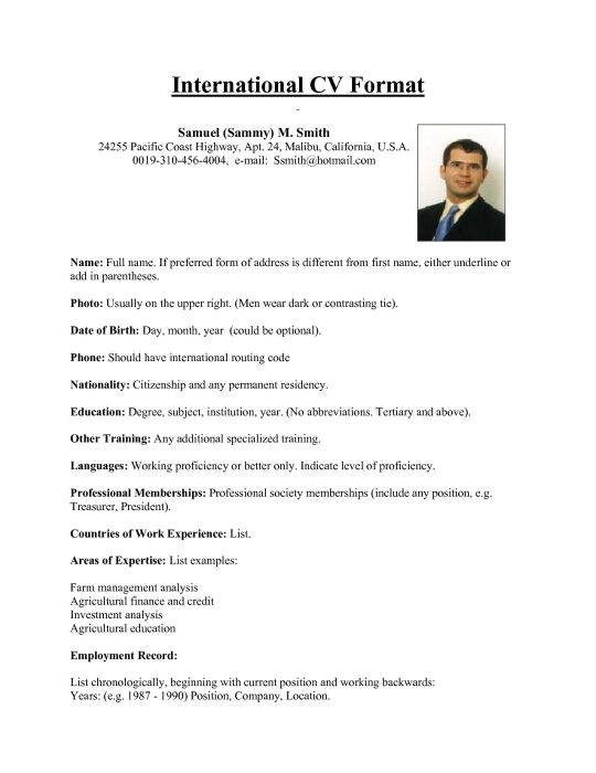 Resume format for Abroad Job International Resume format for Overseas Job This Sum