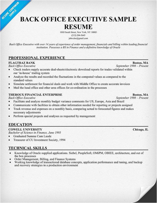 Resume format for Back Office Job Back Office Executive Resume Sample Resumecompanion Com