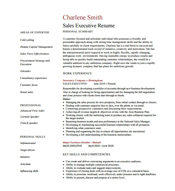 Resume format Word File for Sales Executive Executive Resume Template 14 Free Word Excel Pdf