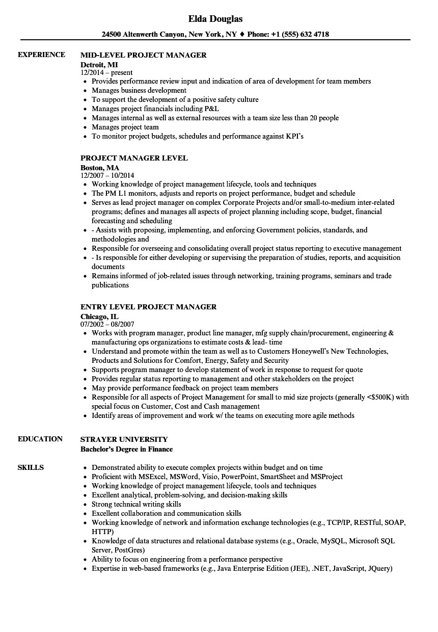 Resume format Word for Manager Level Project Manager Level Resume Samples Velvet Jobs