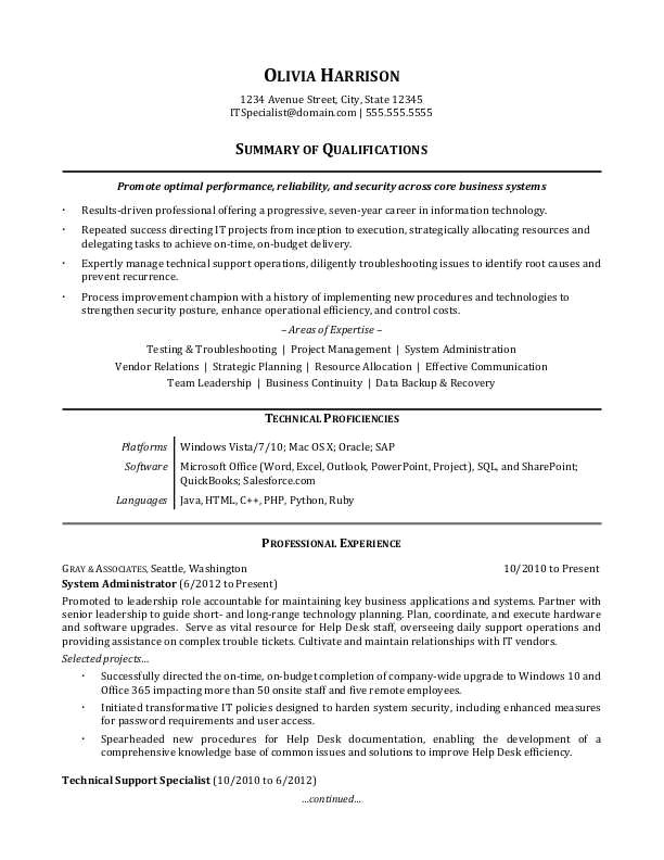 Resume Summary Examples for It Professionals It Professional Resume Sample Monster Com