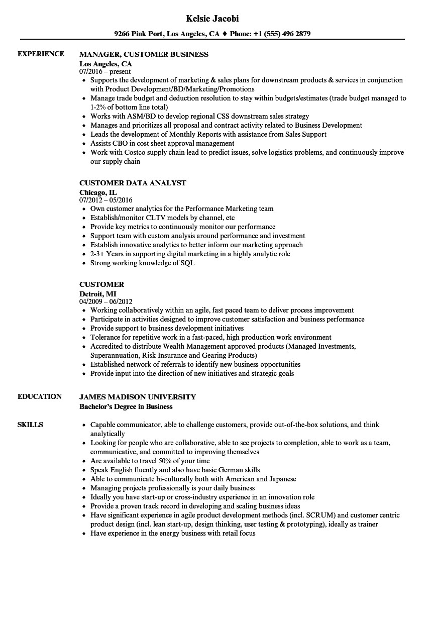 Sample Resume for Zs associates Customer Resume Samples Velvet Jobs ...