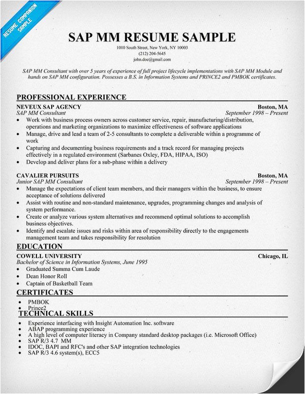 Sap Mm Fresher Resume format Sap Mm Consultant Resume Sample Resume format Architect