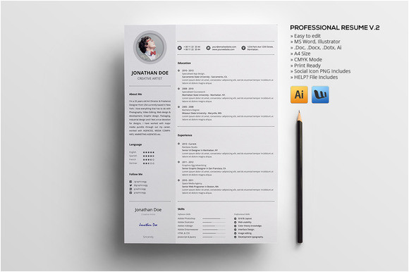 V Professional Resume Professional Resume V 2 Resume Templates On Creative Market
