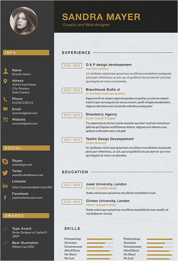 Web Designer Resume Word format 15 Designer Resume Templates Doc Pdf Free Premium