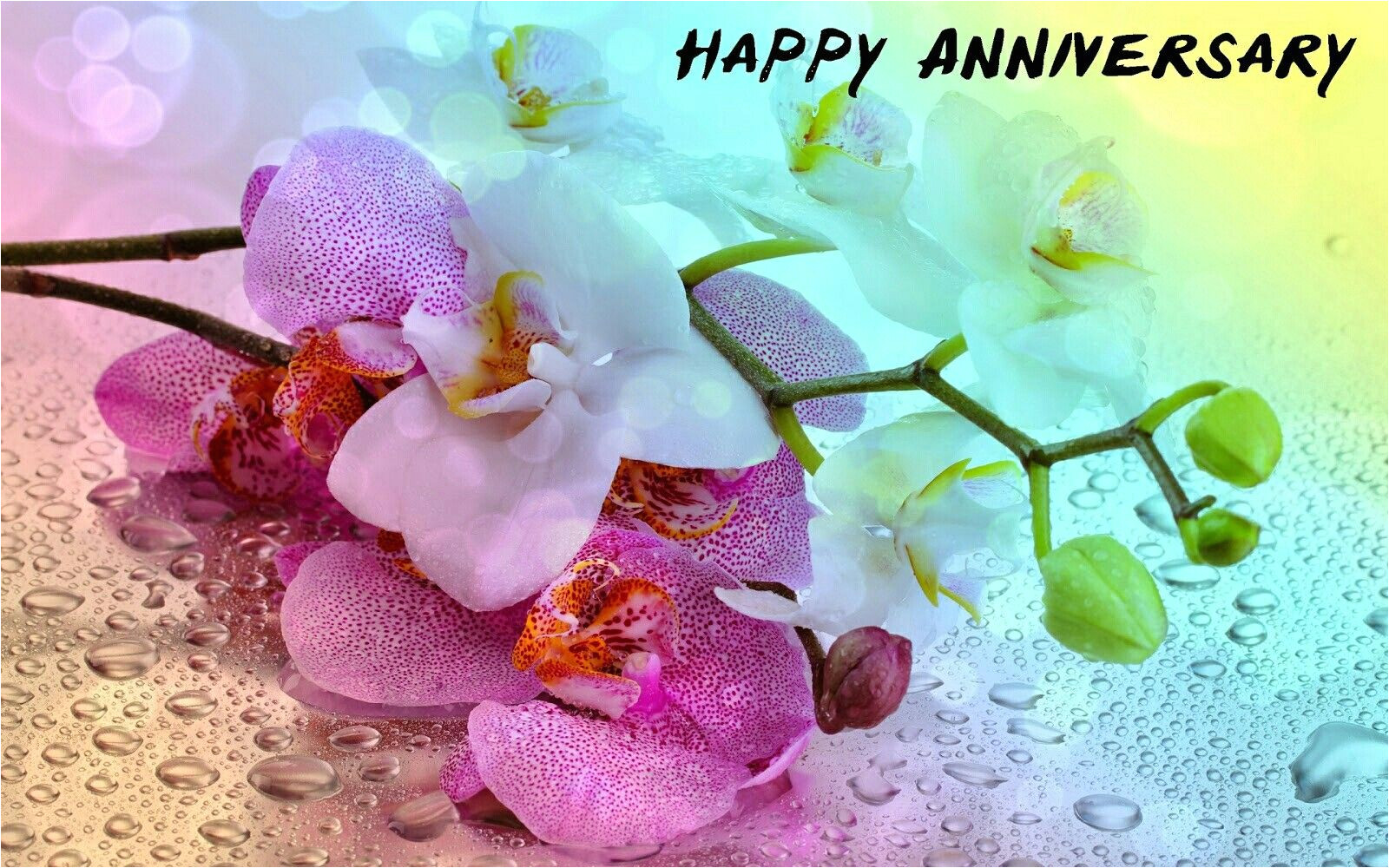 Anniversary Card Di and Jiju Idea by Romaana On Birthday Marriage Anniversary Quotes