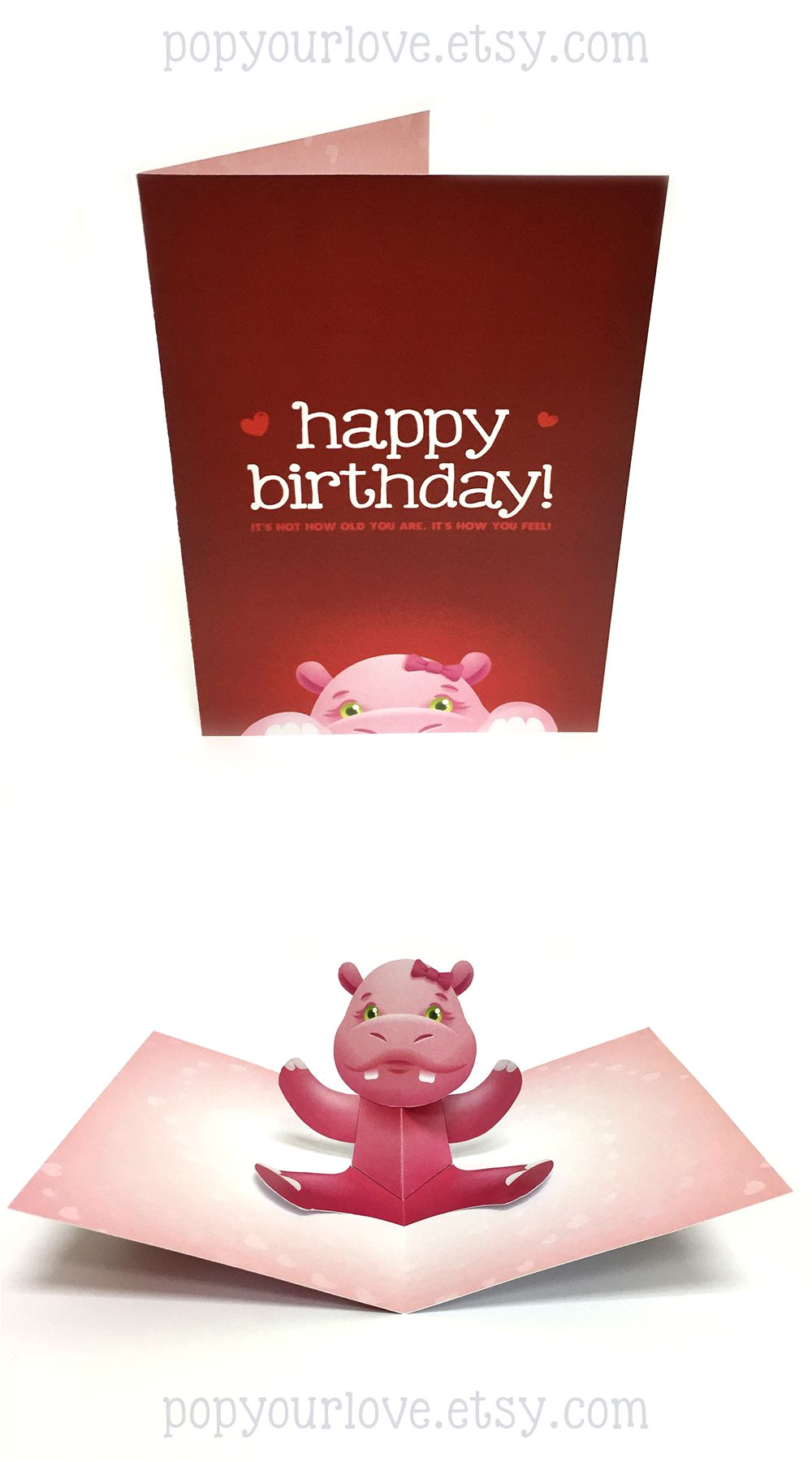 Beautiful Pop Up Card for Birthday Hippo Card Birthday Card Birthday Pop Up Card Animal
