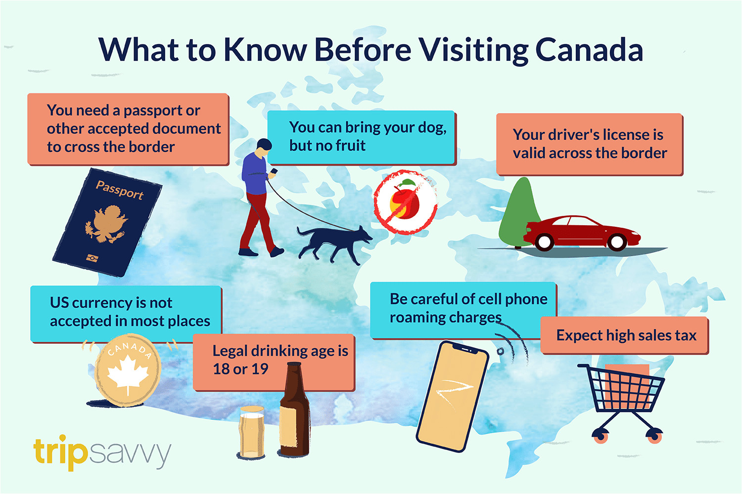 Can You Cross the Border with Just A Nexus Card What Americans Need to Know before Visiting Canada