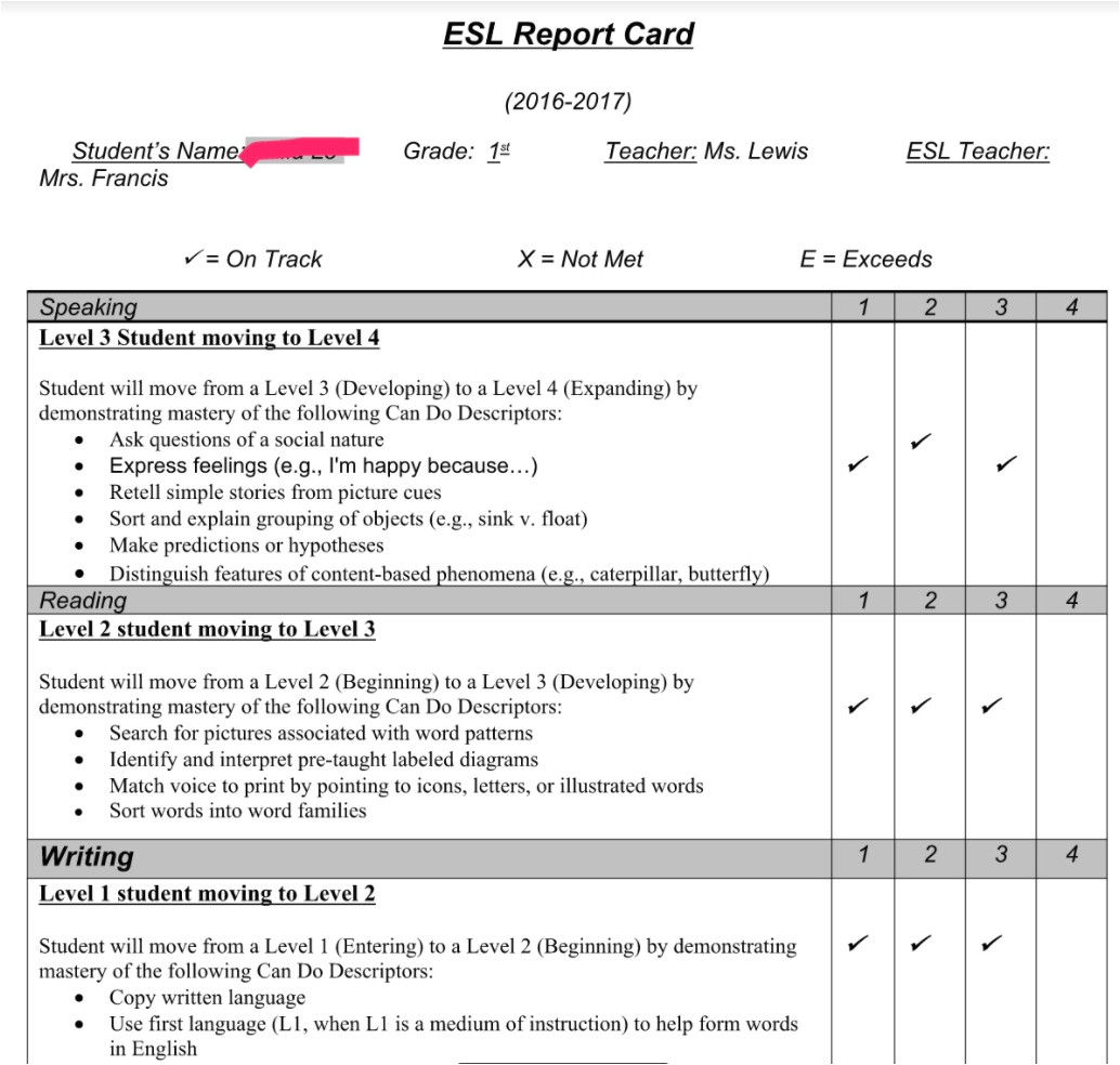 Simple Remarks for Report Card Grading Newcomers A Can Do Approach with Images Report