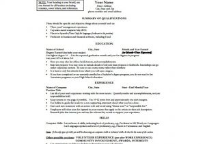 1 Page Resume Template Word One Page Resume Template Cyberuse