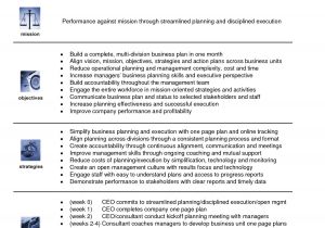 1 Year Business Plan Template One Page Business Plan Template Free Business Template