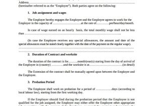 1 Year Contract Template Employment Contract 9 Download Documents In Pdf Doc