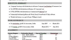 1 Year Job Experience Resume format Resume Example 1 Year Experience Resume Resume format